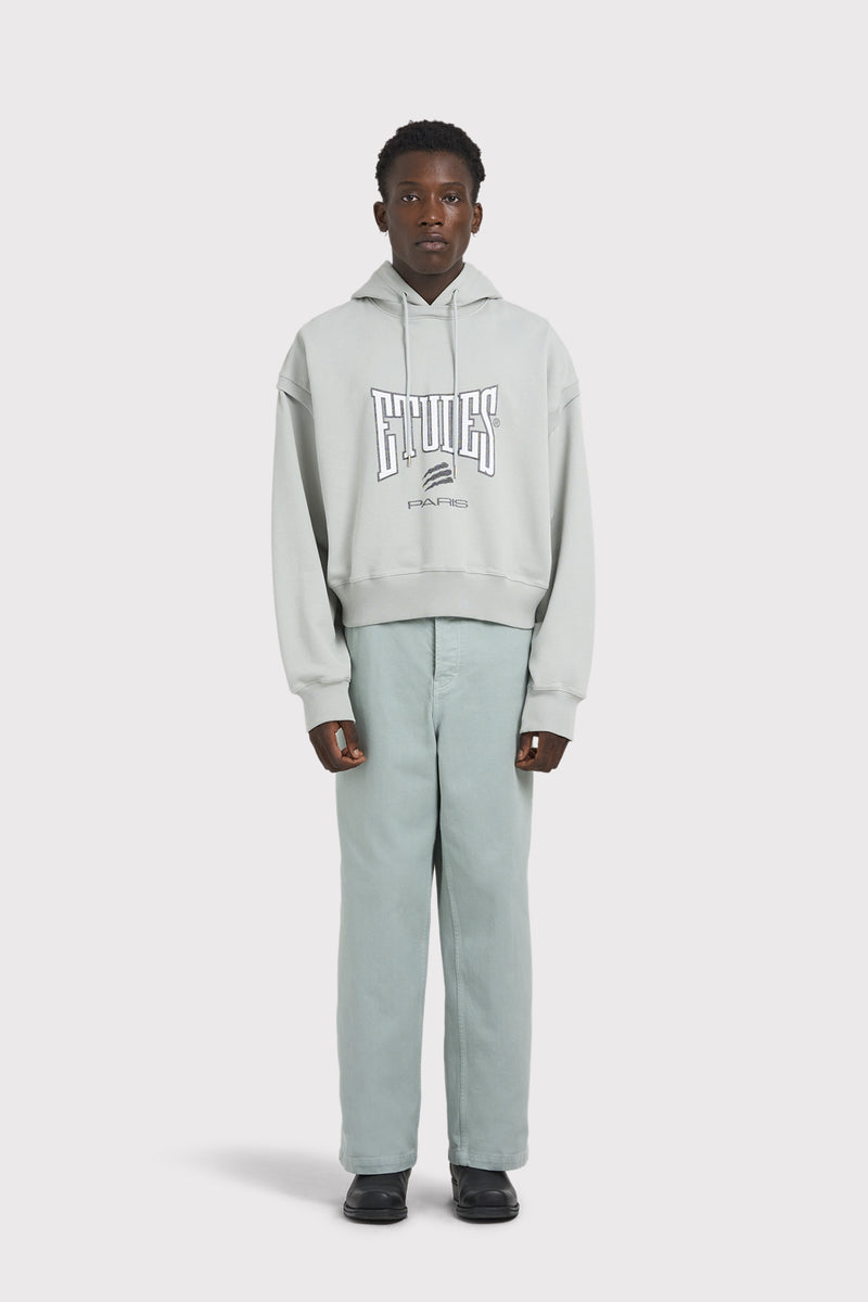 CIMENT HOOD BOXING PIGEON GREY 3