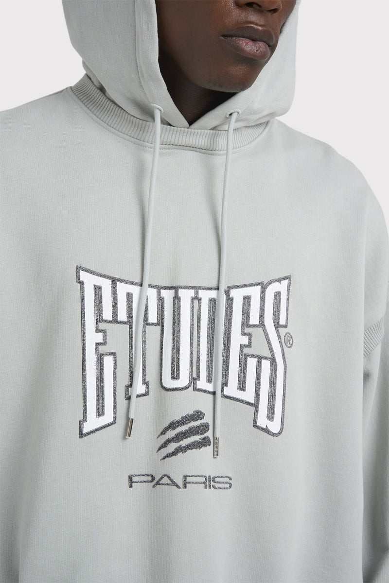 CIMENT HOOD BOXING PIGEON GREY 6