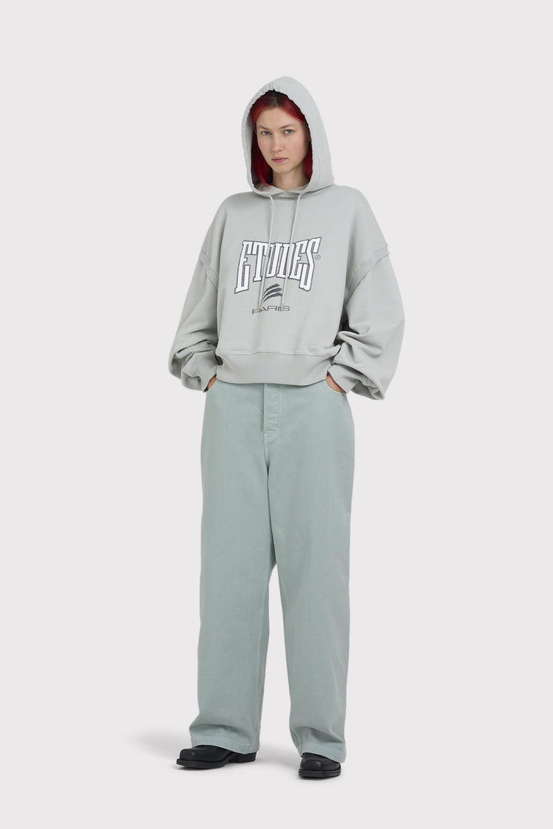 CIMENT HOOD BOXING PIGEON GREY 5