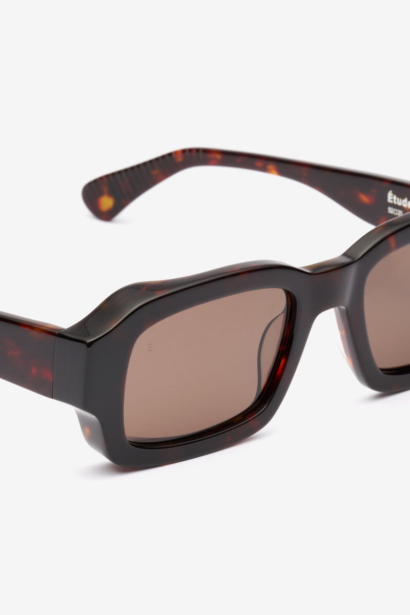 NEVER SLEEP EYEWEAR TORTOISE TORTOISE 3