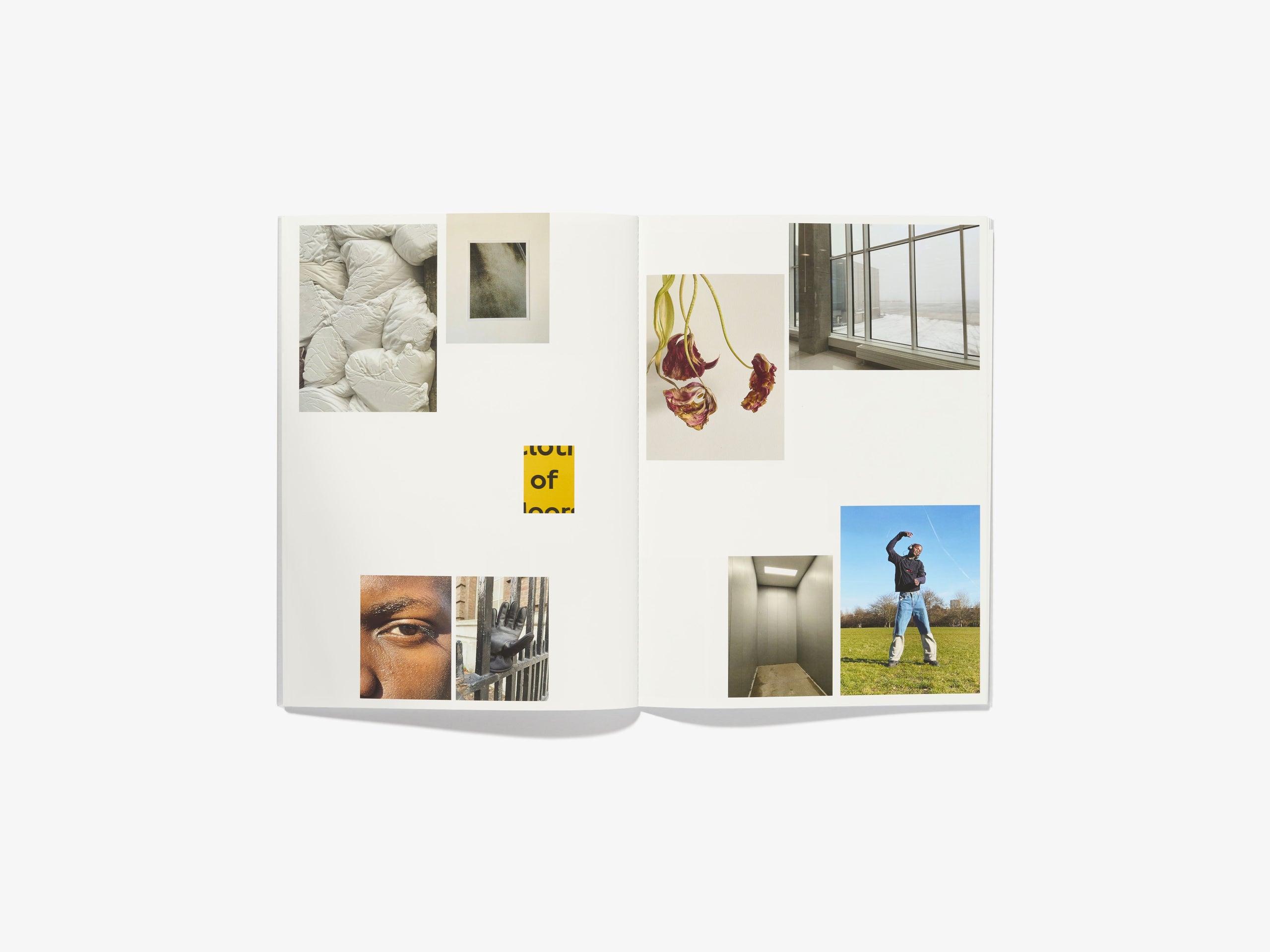 Études N°26 - ALESSIO BOLZONI Book 5