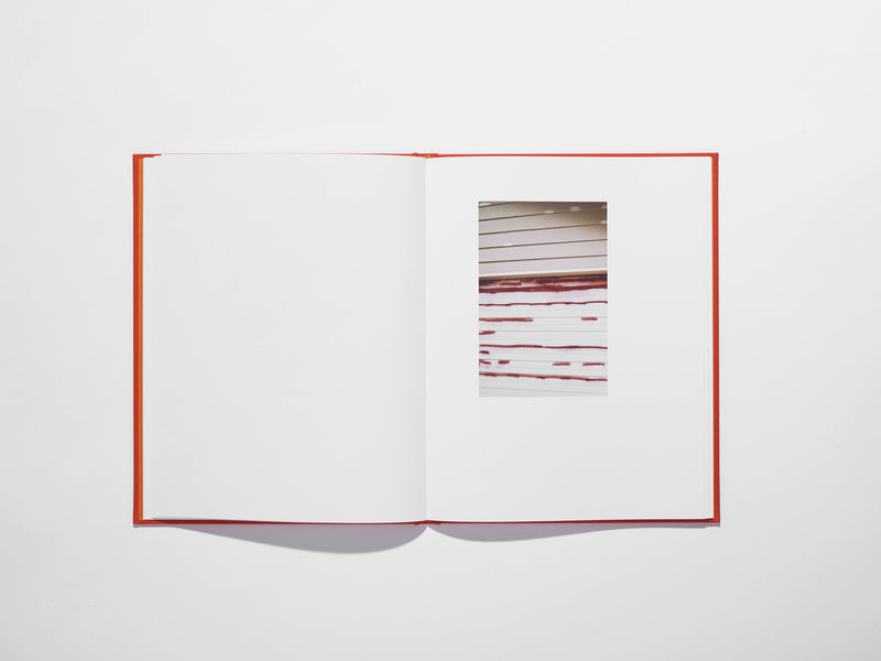 N°19 - Photographies (2012-17)  8