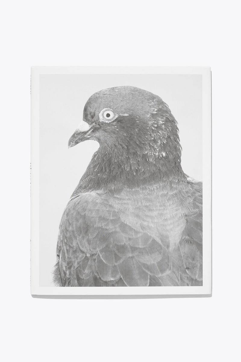 N°11 - Mårten Lange  1