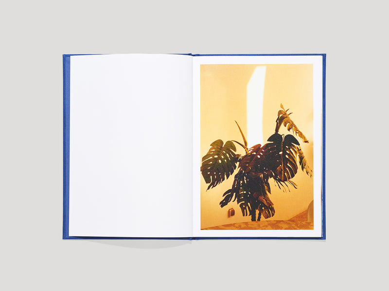 N°18 - Henry Roy  7