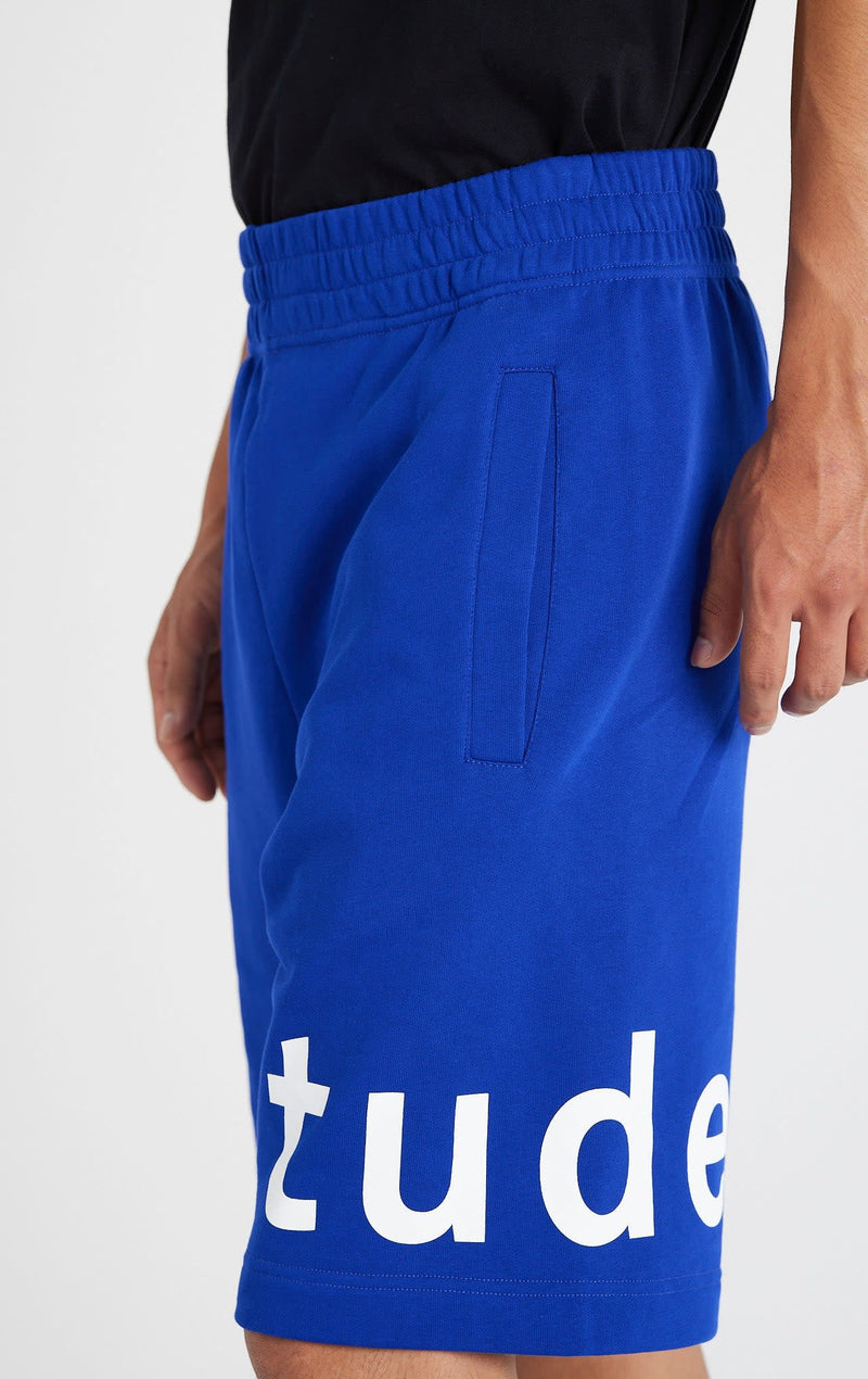 ÉTUDES TEMPERA SHORTS ETUDES BLUE SHORTS 4