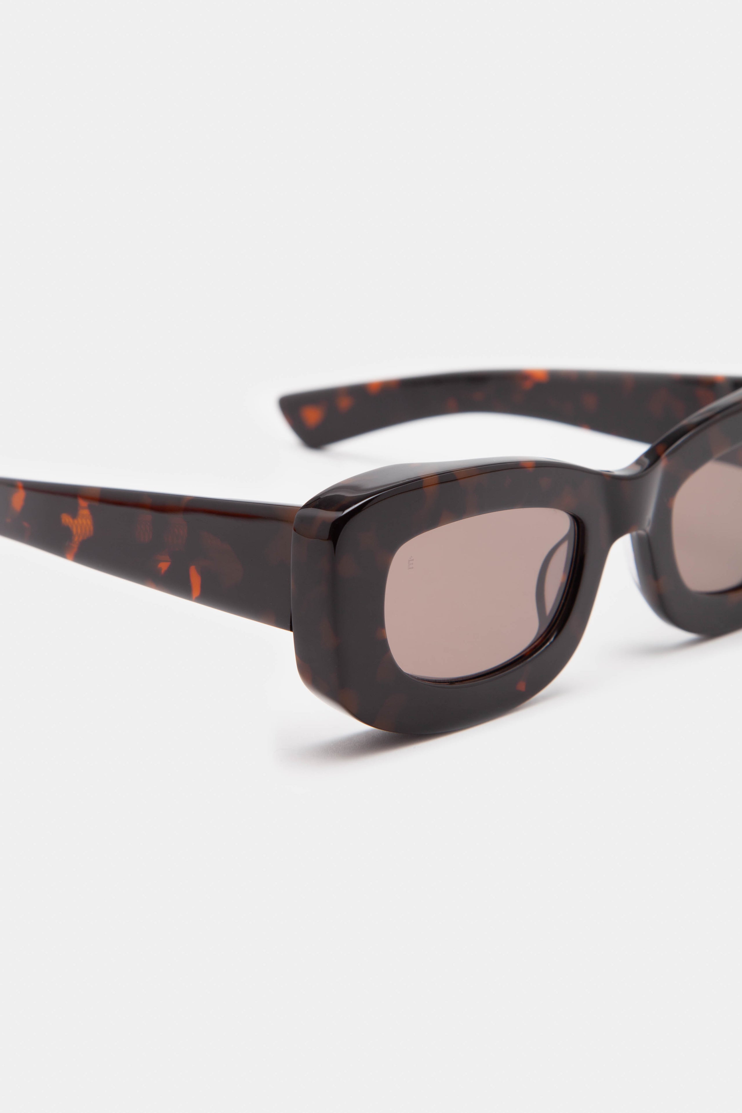 ÉTUDES WHISTLE TORTOISE EYEWEAR 4