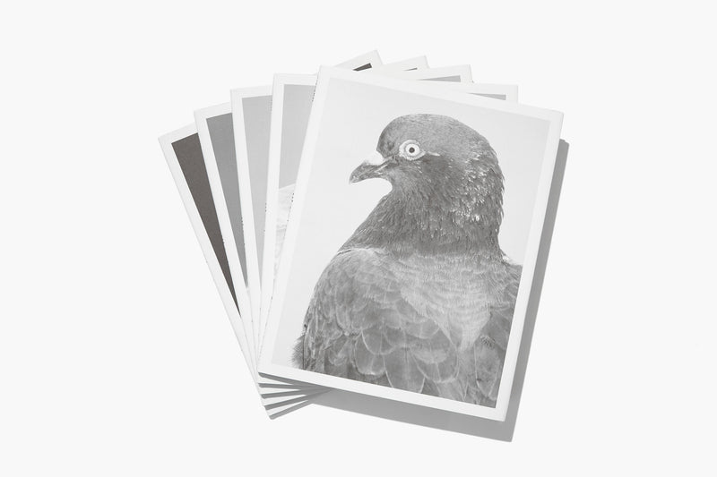 N°11 - Mårten Lange  8