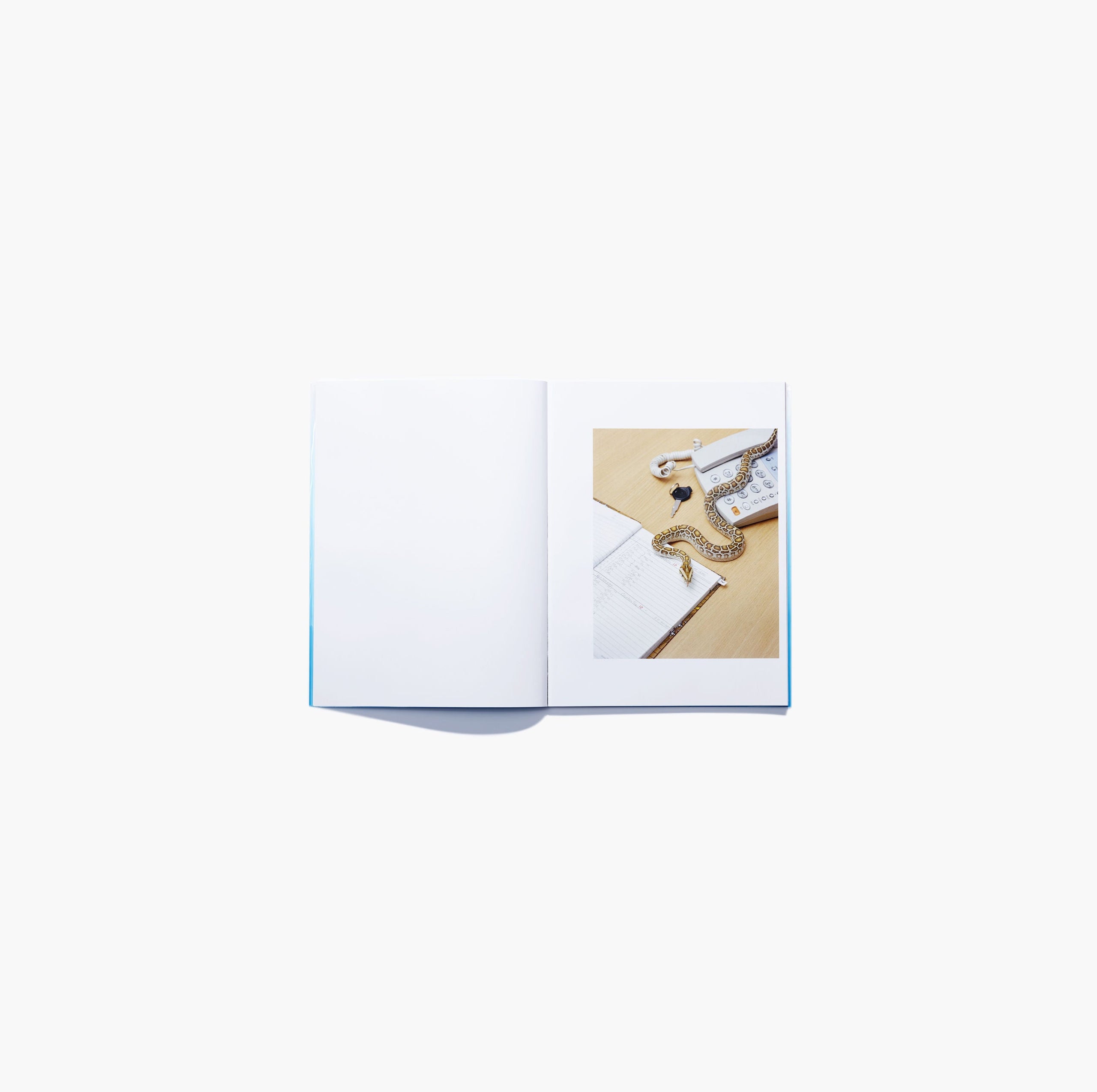 N°14 - Charles Negre & Thomas Rousset