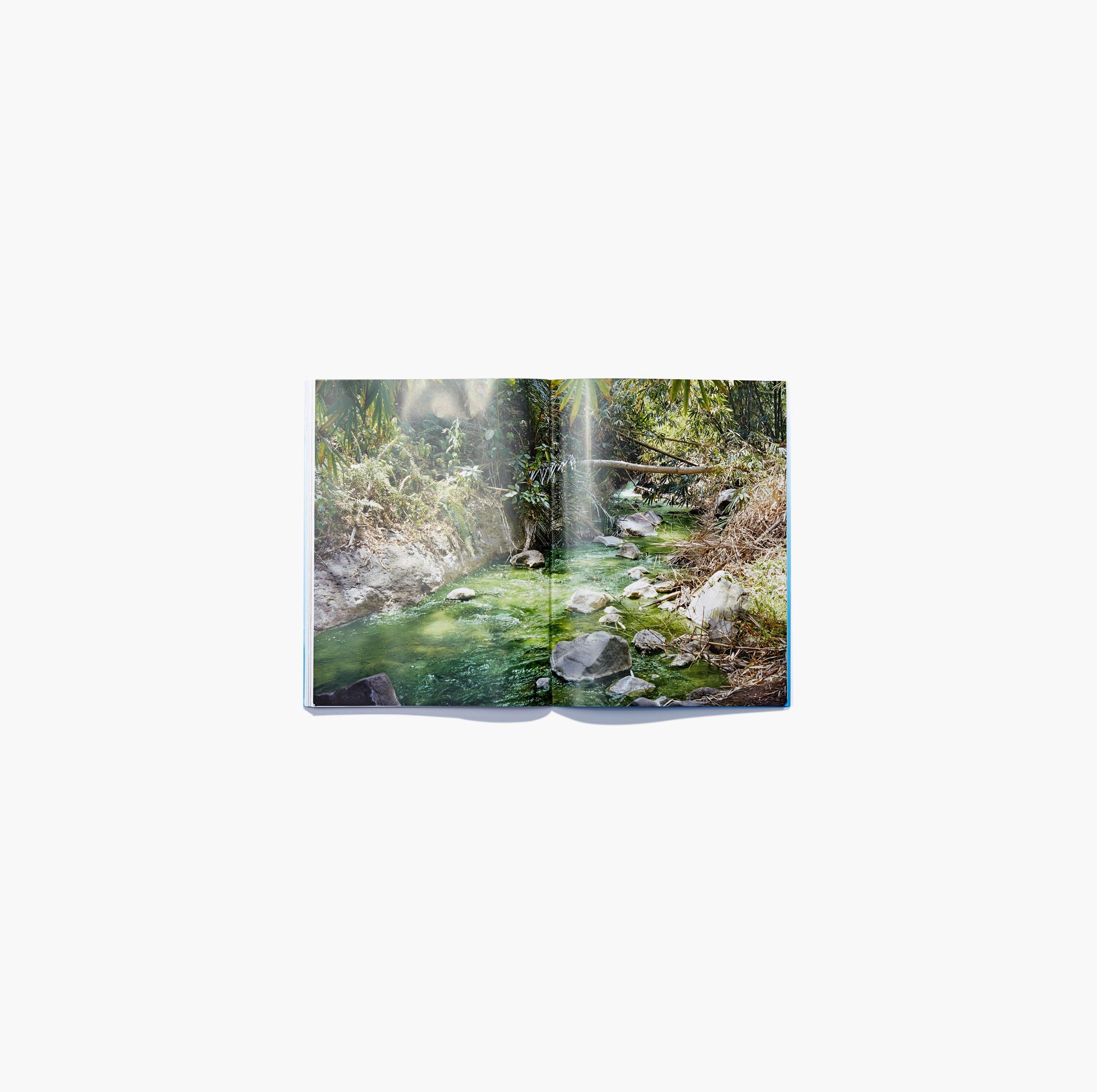 N°14 - Charles Negre & Thomas Rousset