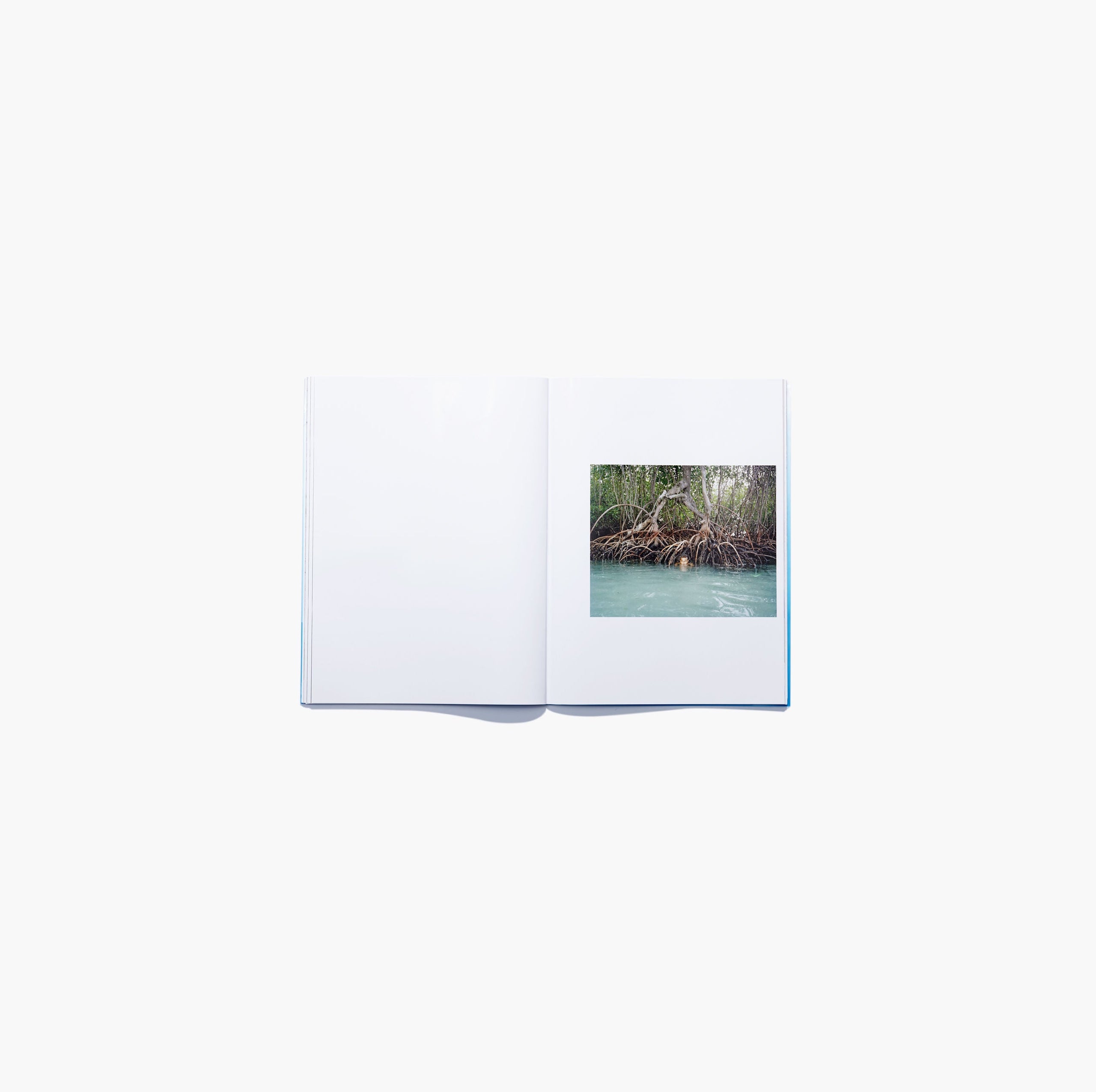 N°14 - Charles Negre & Thomas Rousset